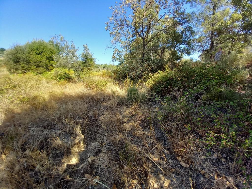 Terreno com 2180m2 , São Vicente da Beira, Castelo Branco - Image 5
