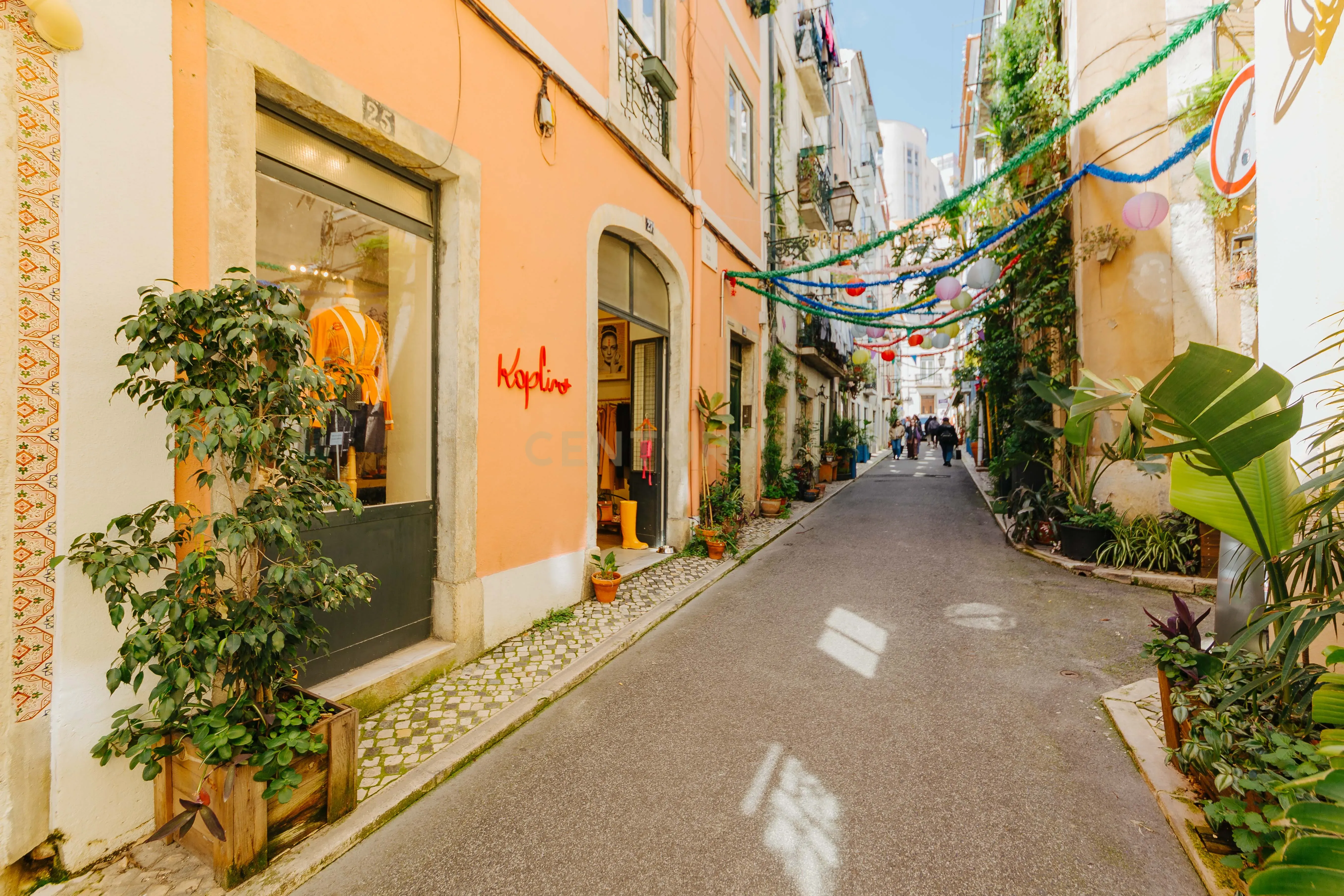 Onde Lisboa Floresce — Um Espaço com Alma na Rua da Silva - Image 15