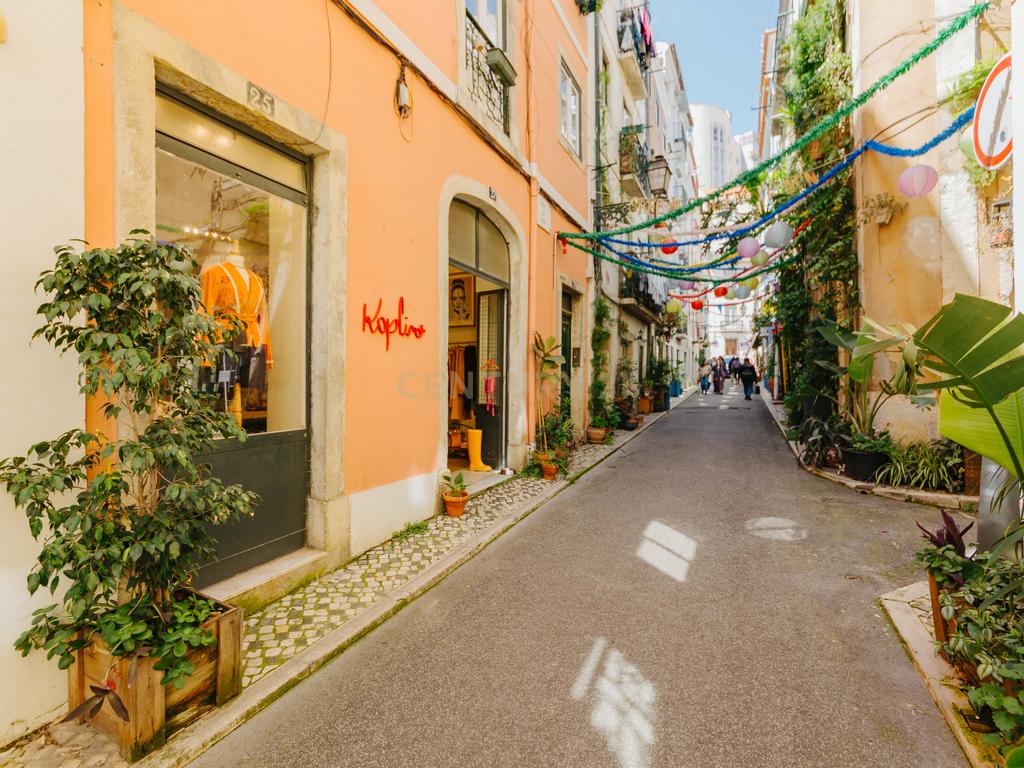 Onde Lisboa Floresce — Um Espaço com Alma na Rua da Silva - Image 15
