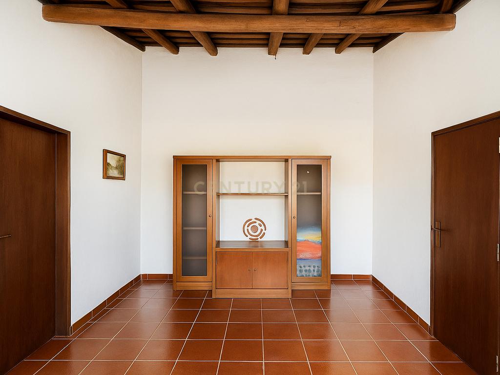 Monte Alentejano com 5 Hectares – Puro Sossego no Coração do Alentejo - Image 10