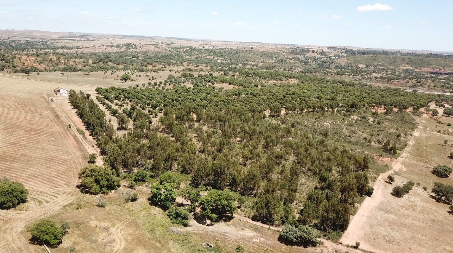 Fotografia 4 de Propriedade no Alentejo com Grande Potencial Turístico e Agrícola perto da Barragem da Rocha.