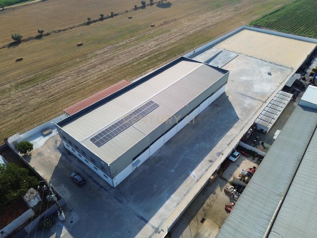 Armazém Industrial para Arrendamento – Riachos, Torres Novas - Image 32