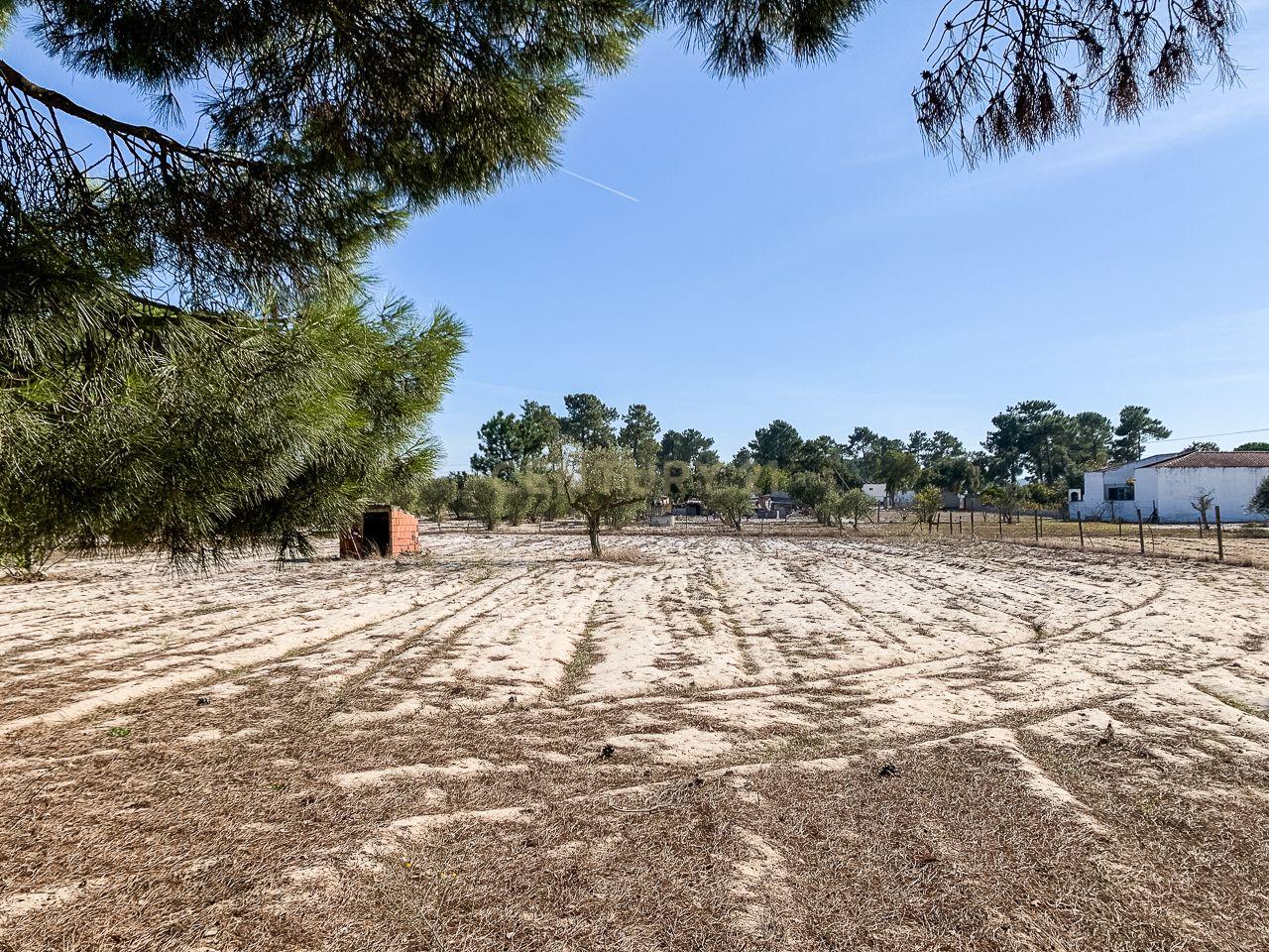 Fotografia 5 de Terreno rústico com 2.600 m² - Vale Gamito, Quinta do Amaro, Grândola