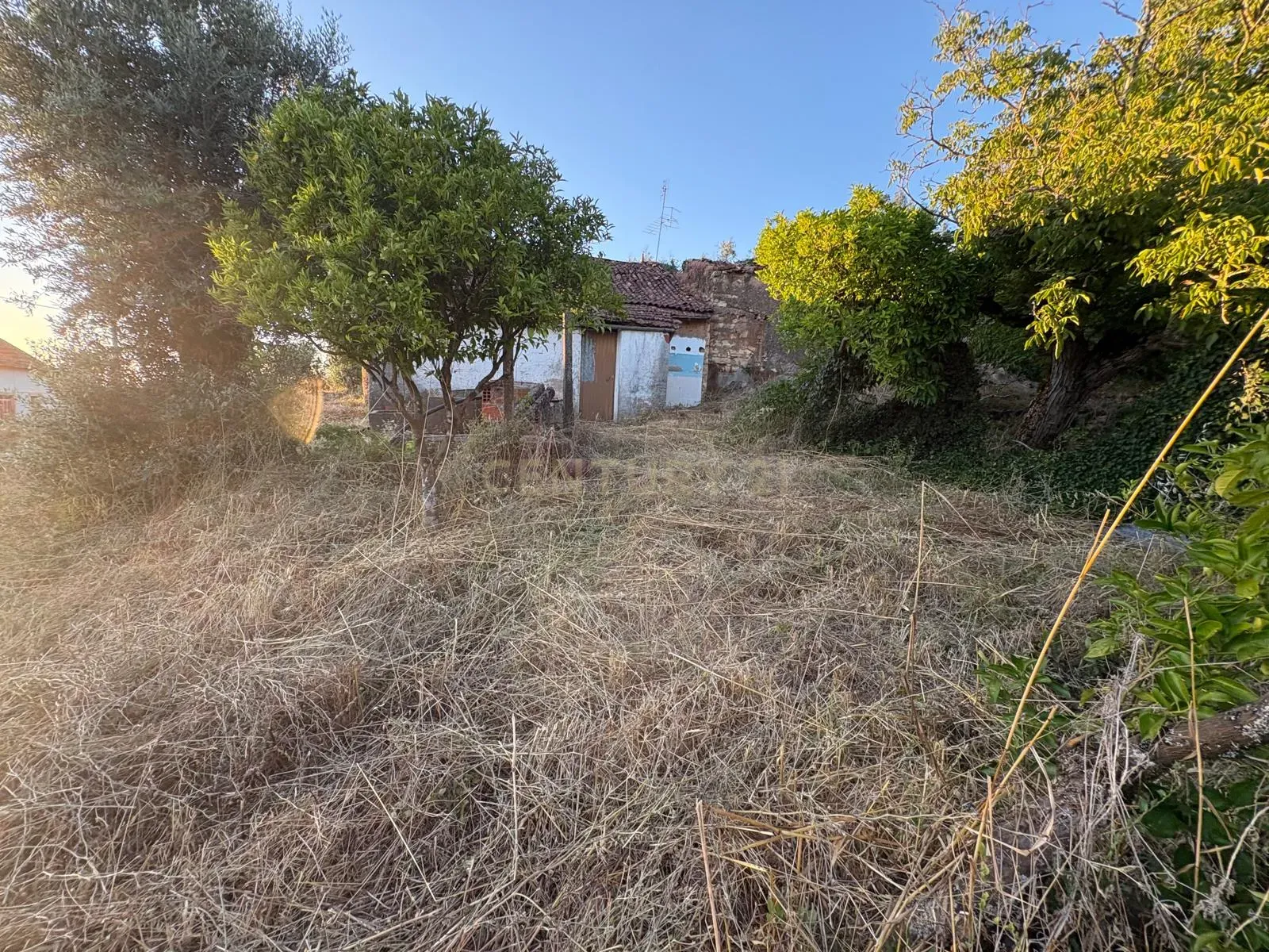 Fotografia 5 de Propriedade para Recuperação em Areias, Ferreira do Zêzere