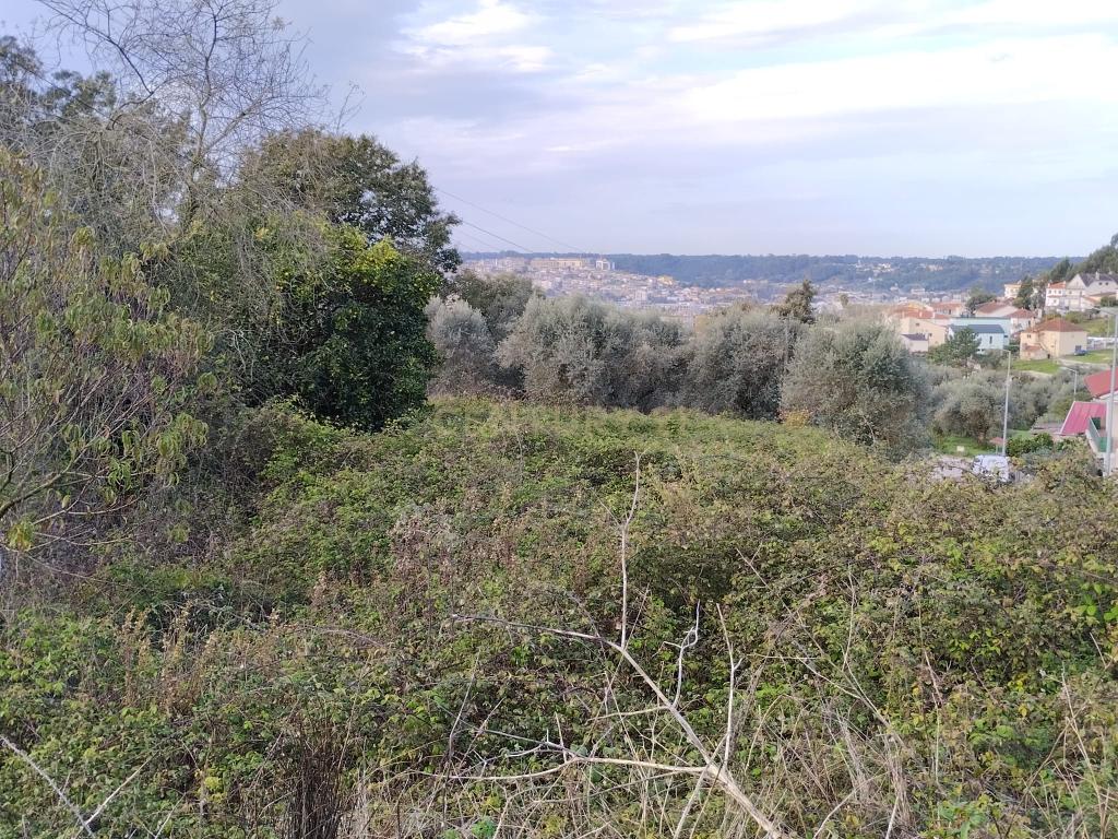 Terreno de construção habitacional em Pombal - Image 19