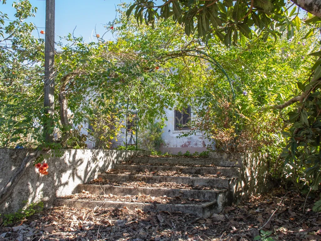 Duas moradias em Avecasta Ferreira do Zêzere - Image 33