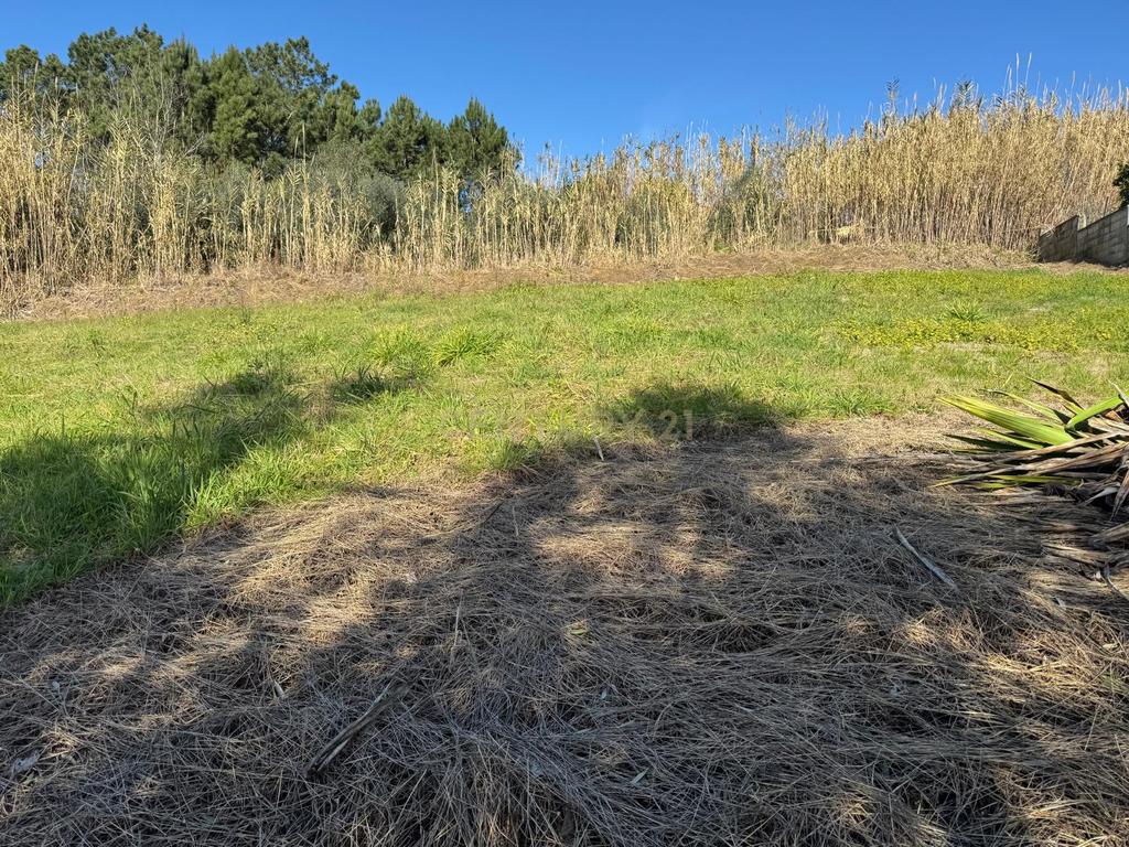 Terreno Panorâmico em Pombal - 1020m² por 34.500€ - Image 5