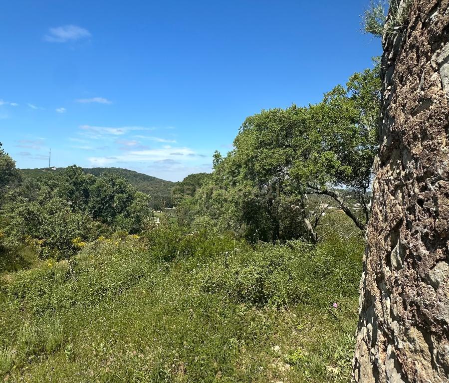 Ruina Moinho - Image 14
