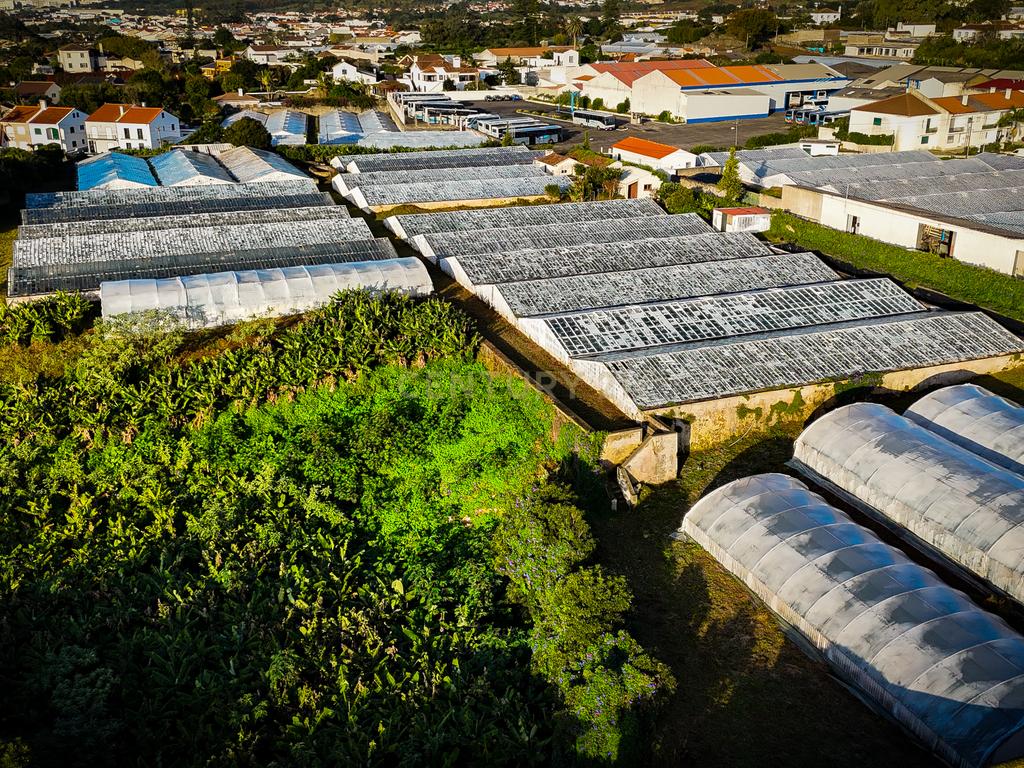 Propriedade Única com Estufas de Ananases e Potencial Urbano — Abelheira de Baixo, São Roque - Açores - Image 21