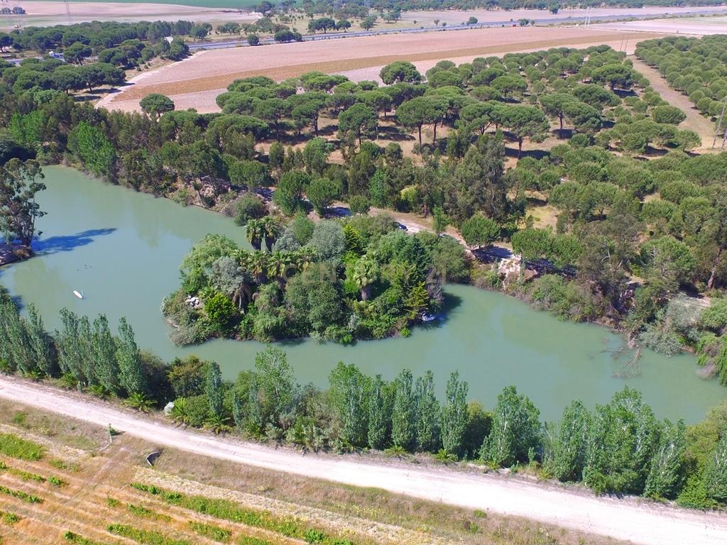 Herdade Dos Mascarenhas com 102 hectares em Palmela - Image 21