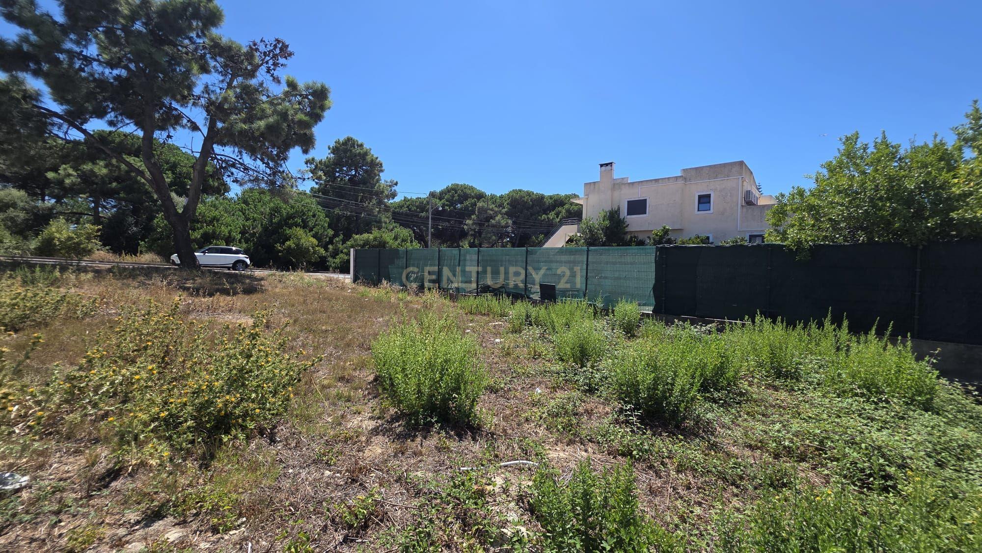 Fotografia 5 de # NOVIDADE #  TERRENO COM LOCALIZAÇÃO DE EXCELÊNCIA NA CHARNECA CAPARICA ( permite caminhar a comércio e serviços com facilidade )