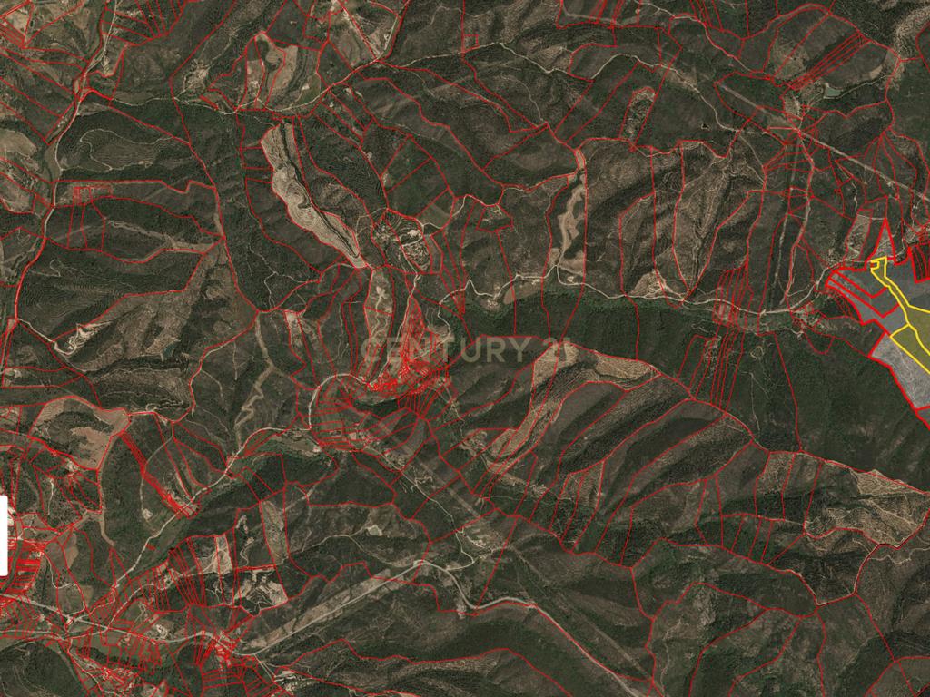 Terreno Rústico com Ruína em Aljezur – 26,88ha de Natureza Pura com Ribeira - Image 7