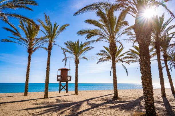 Restaurante em Málaga - Oportunidade Única de Investimento - Image 15