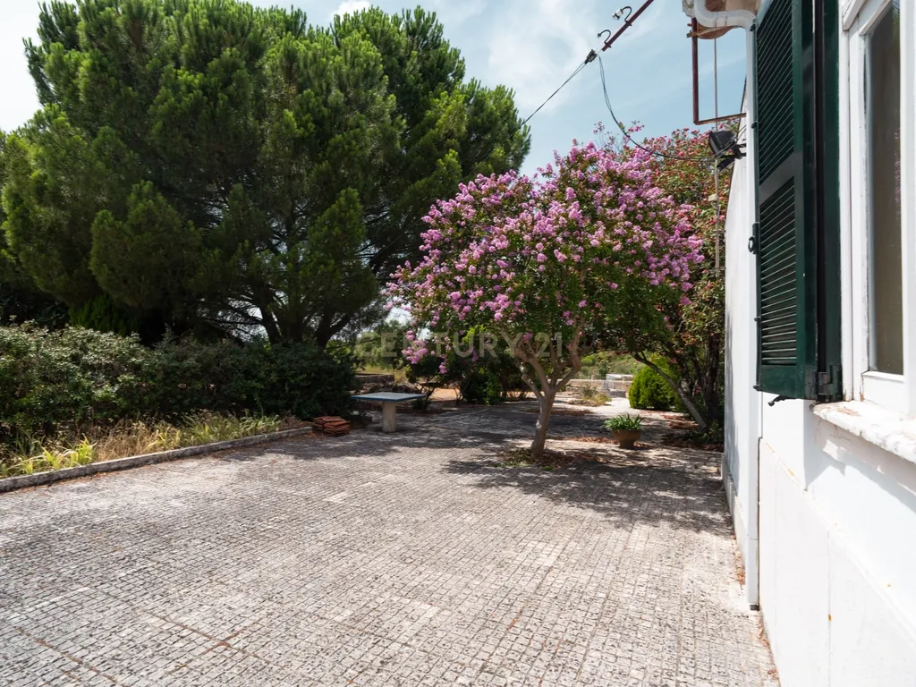 Moradia T4 Exclusiva na Comenda, Gavião – O Teu Refúgio no Alentejo! - Image 63