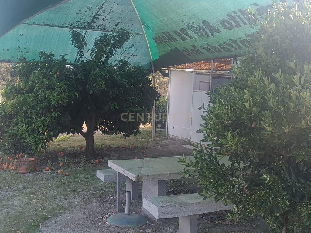 Excelente terreno em Santa Eulália Elvas - Image 15