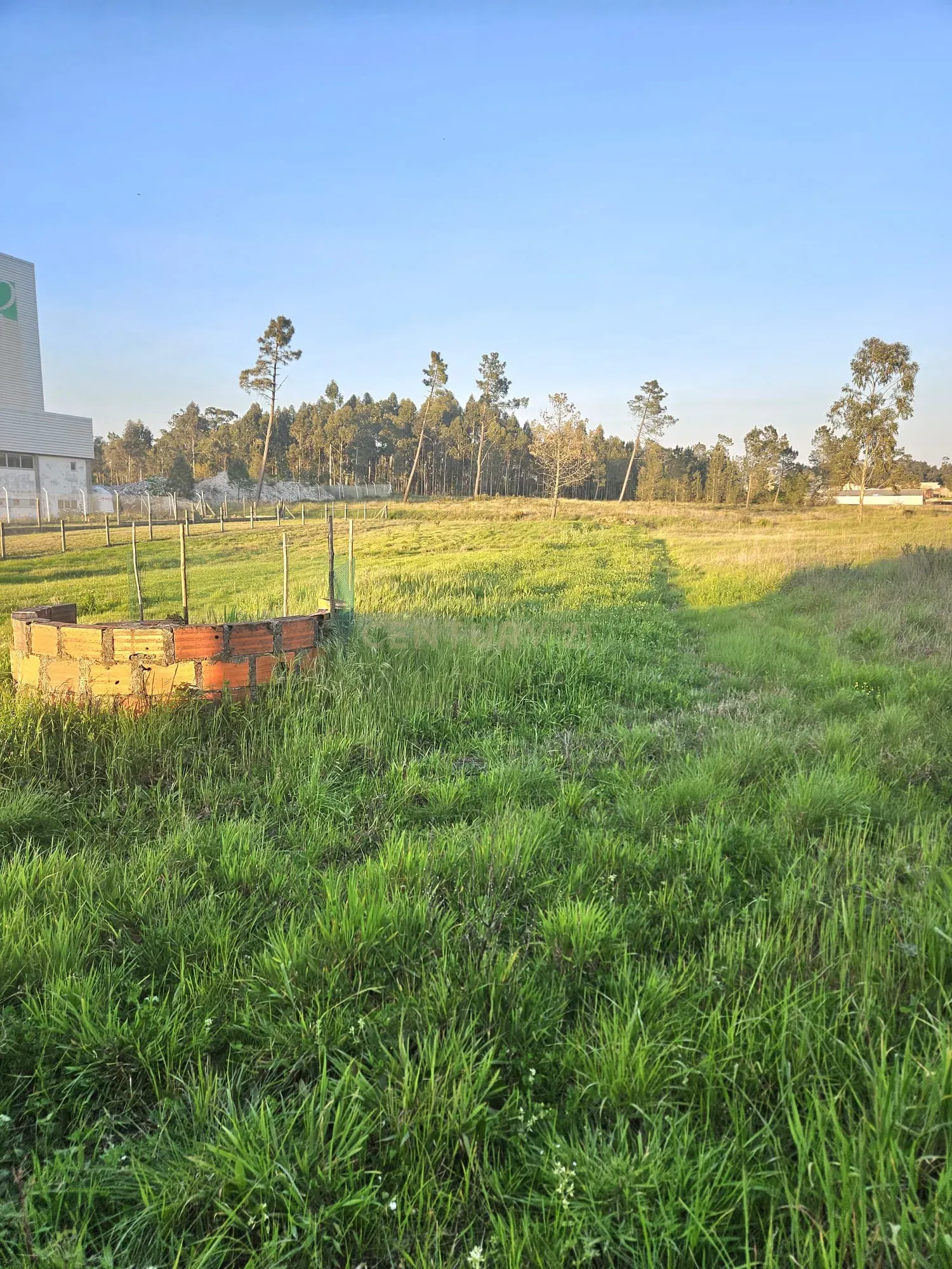Fotografia 9 de Moradia T2 Térrea para Reconstrução + Terreno de 712 m² em Bustos | Ideal para investidores.