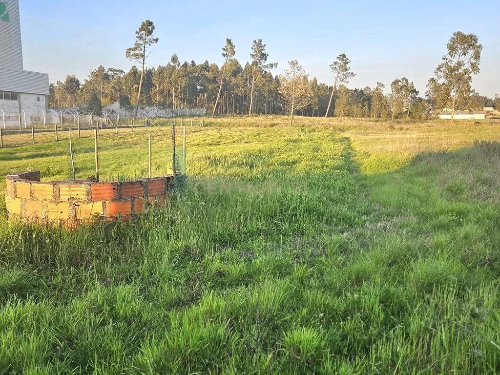 Moradia T2 Térrea para Reconstrução + Terreno de 712 m² em Bustos | Ideal para investidores. - Image 9