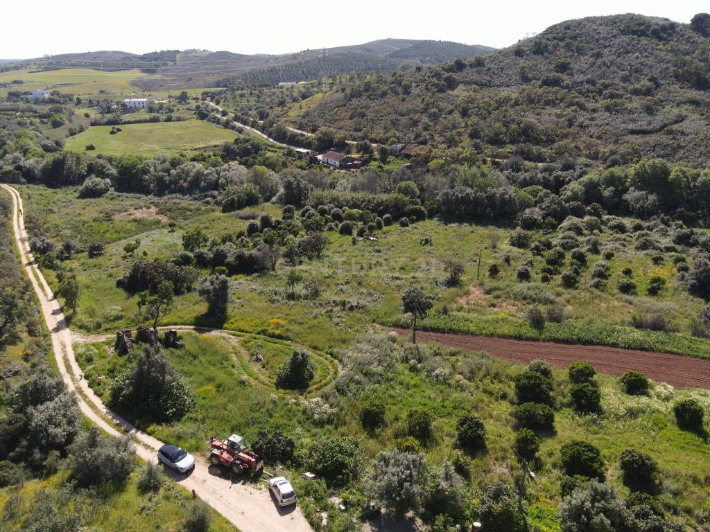 Oportunidade Única – Quinta com Potencial e Ribeira Natural - Image 1
