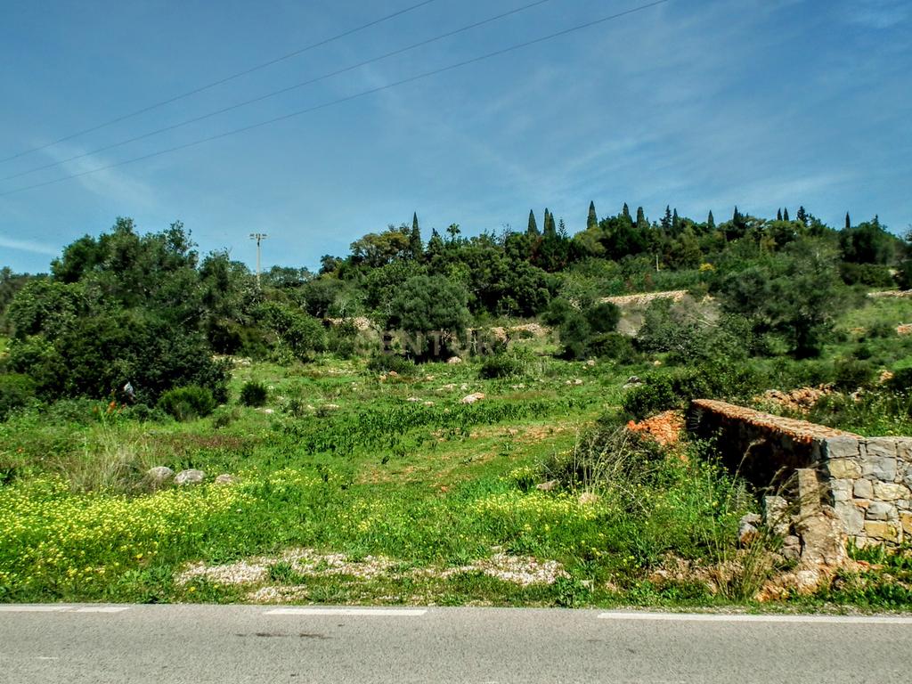 Terreno Rústico em Faro com Vista Panorâmica e Acesso Fácil - Image 11