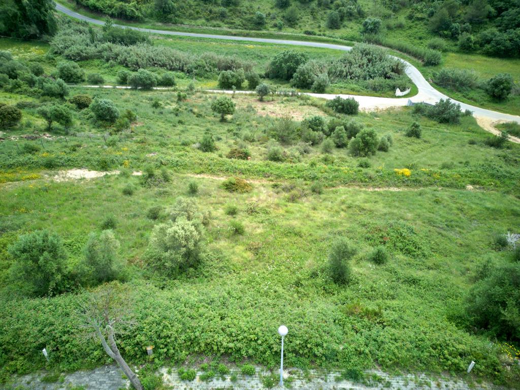 Exclusivo! Terreno + Moradia de Sonho "Chave na Mão" – Santo Isidoro  - Image 22
