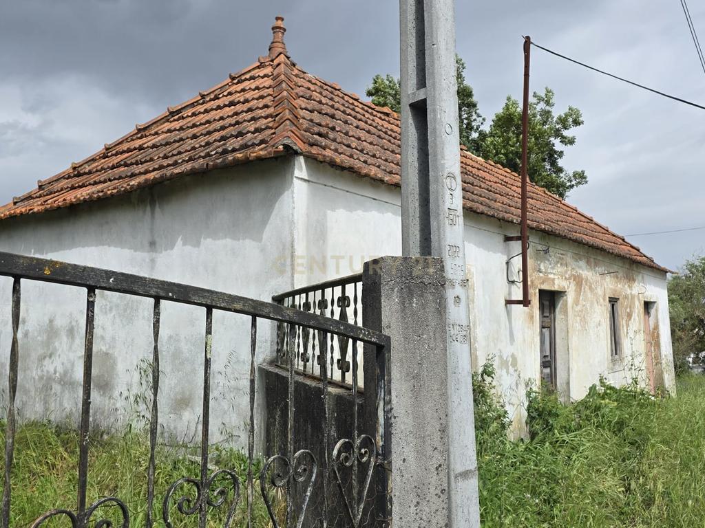 Ruína para renovação completa - Próxima de Pombal - Image 3