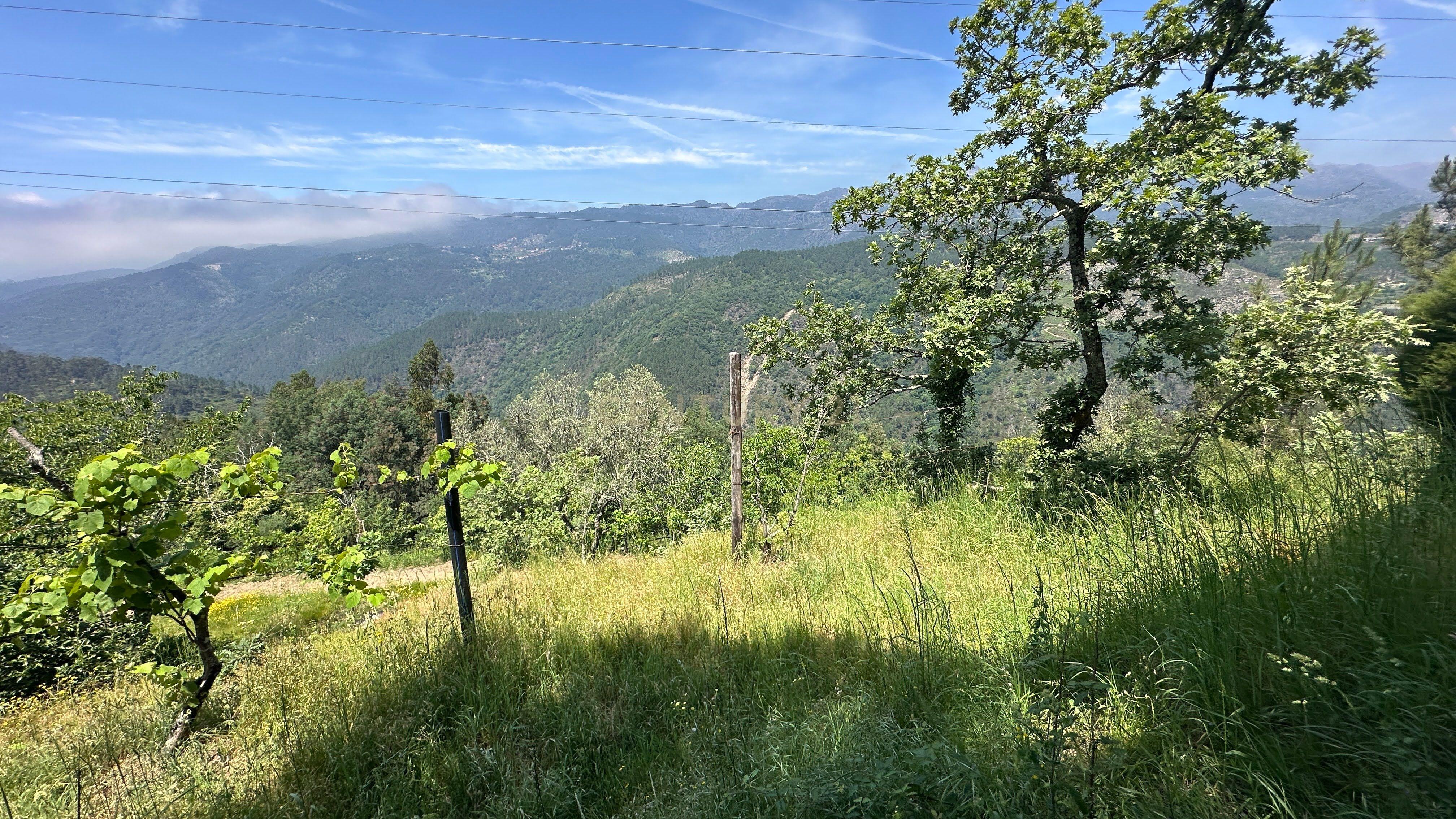 Fotografia 12 de O Refúgio Perfeito no Topo do Gerês: Onde o Silêncio Encontra a Imensidão
