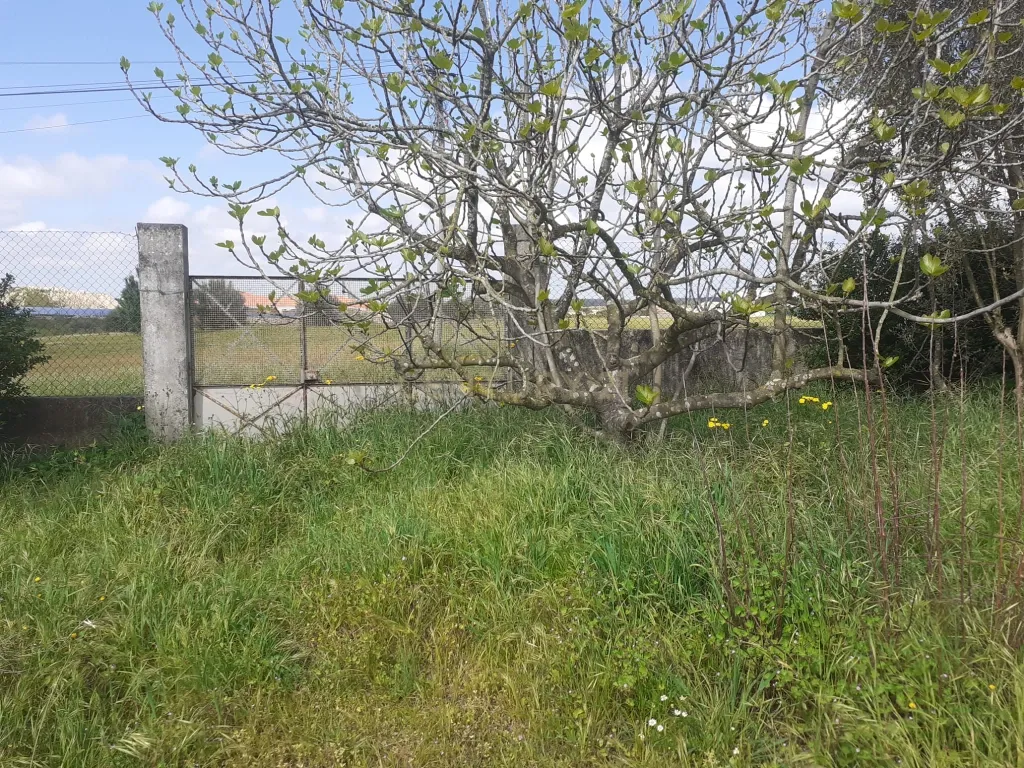 Terreno para Construção – Na Freguesia de Santo Isidro de Pegões | 629 m² - Image 3