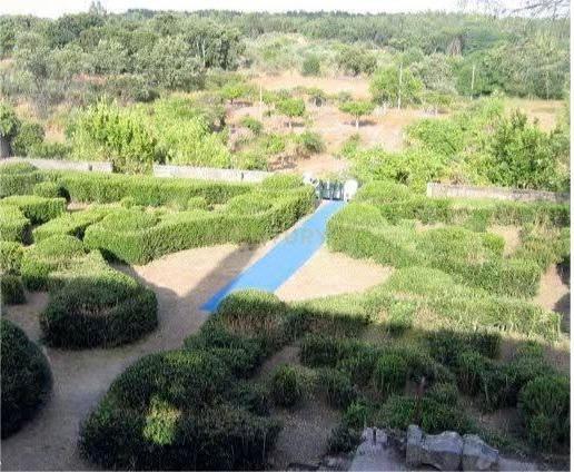 Quinta do Ervedal – 15,7 hectares de História e Beleza Natural em Castelo Novo - Image 9