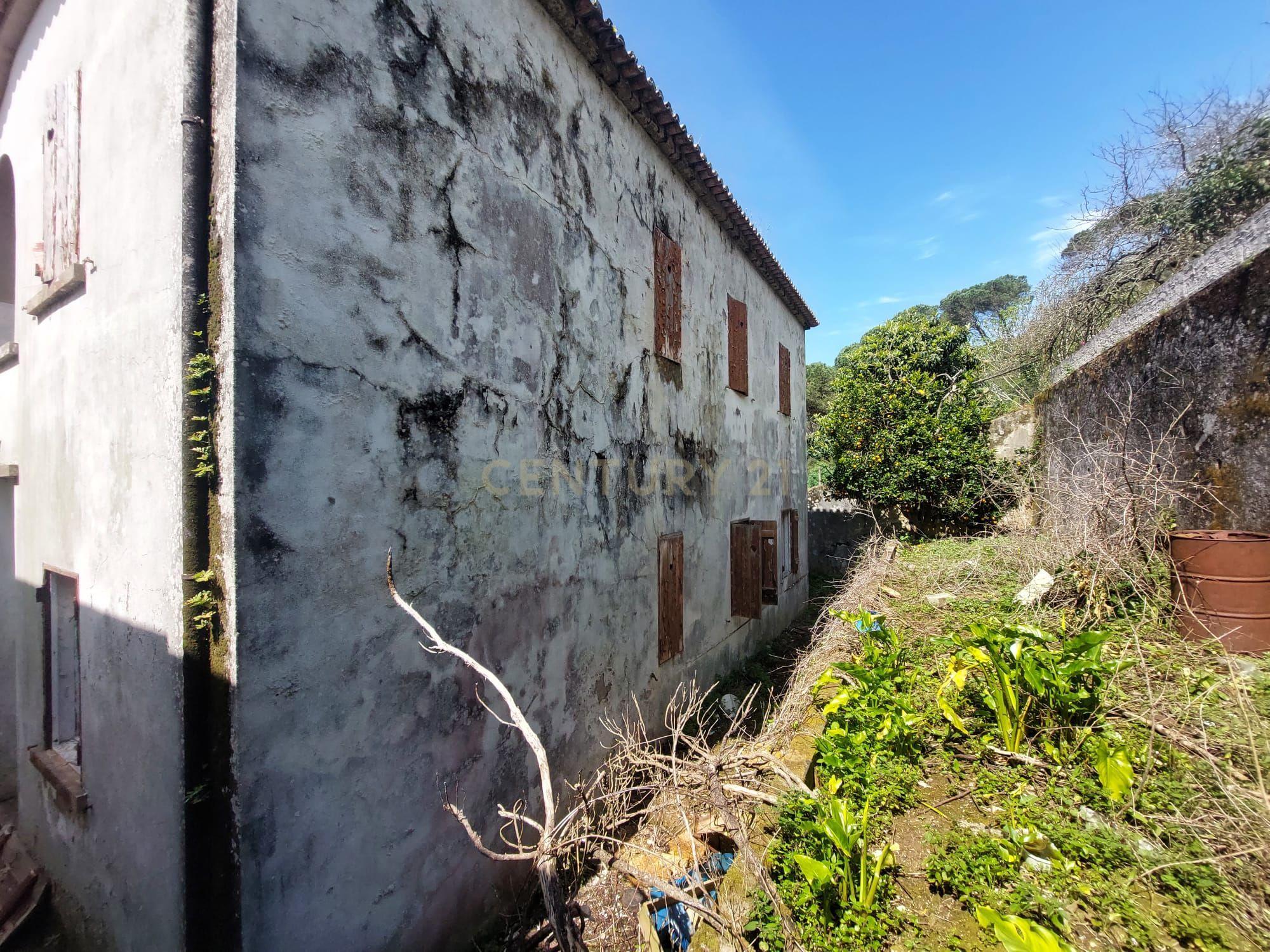Moradia composta por 2 Frações de utilização independente  - Termas do Vimeiro - Torres Vedras - Image 12