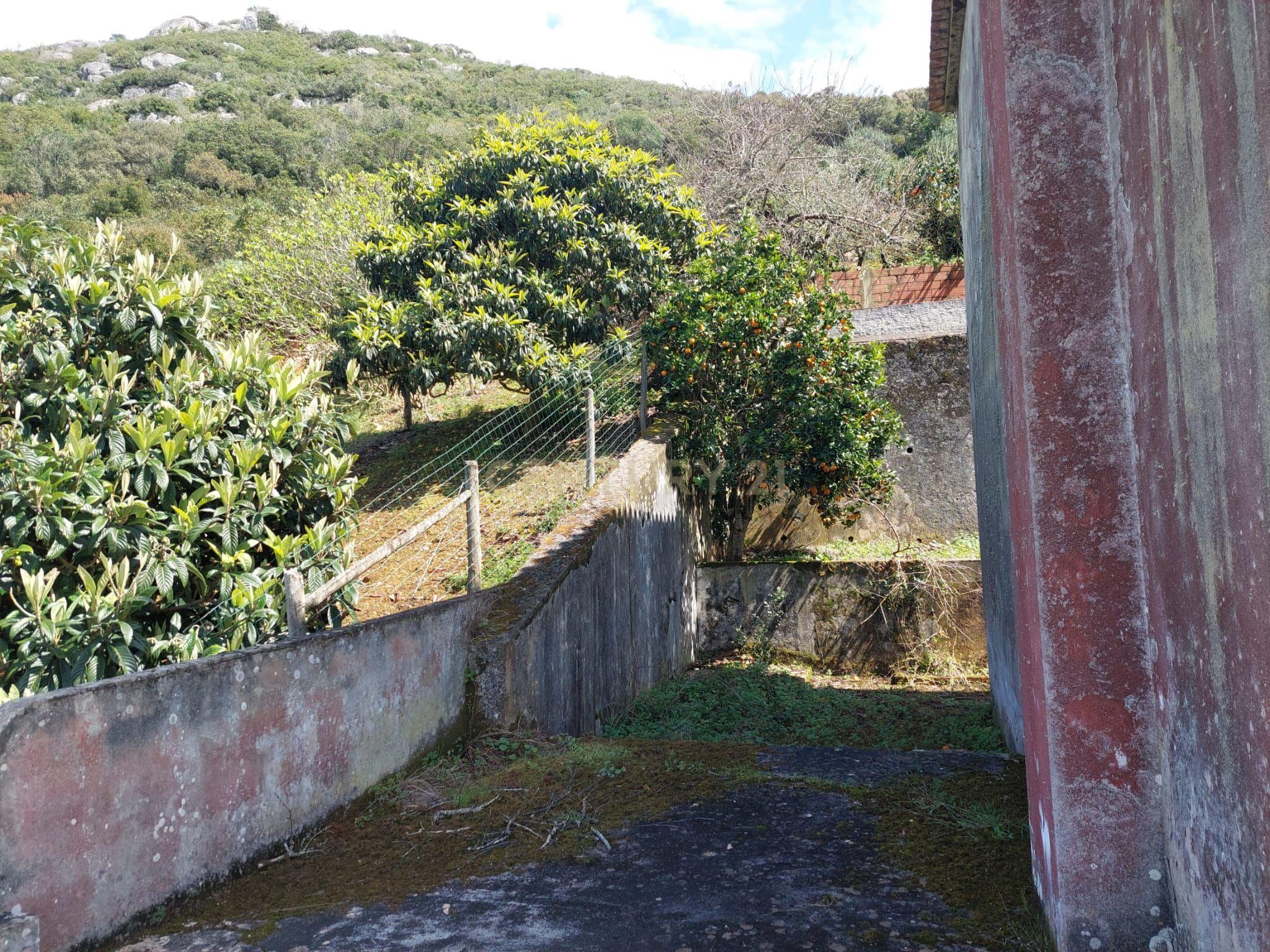 Moradia composta por 2 Frações de utilização independente  - Termas do Vimeiro - Torres Vedras - Image 11