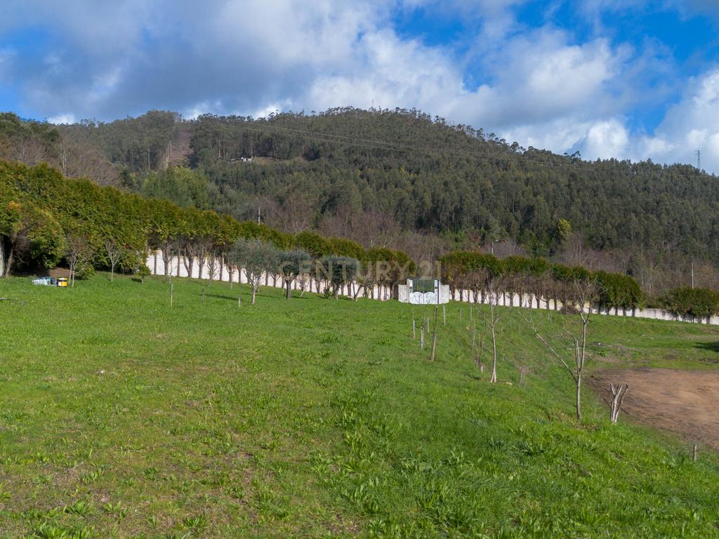 Deslumbrante Quinta T5 com terreno urbano de 5000m2 em Aguiar de Sousa - Image 67