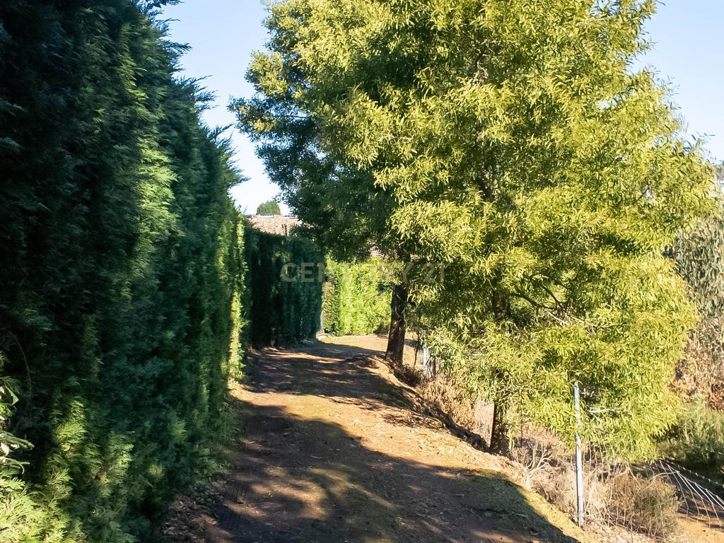 Luxuosa Moradia em Santo Tirso com Vista Panorâmica - Image 17