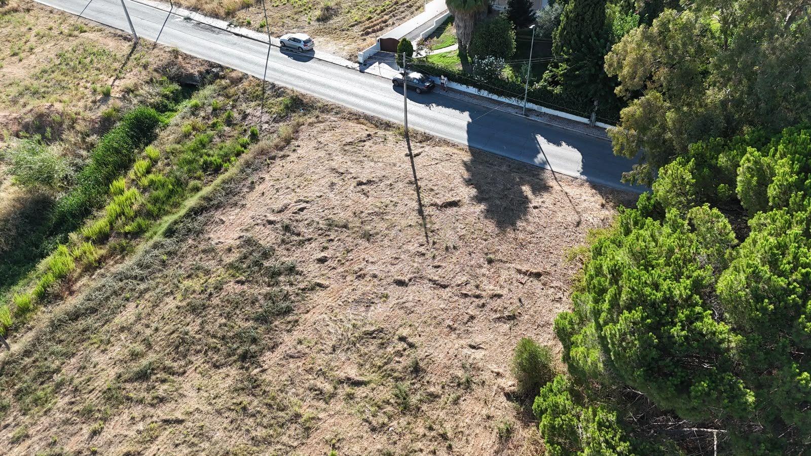 Fotografia 9 de Terreno Urbano de Grande Dimensão | 3.000 m² | Entroncamento
