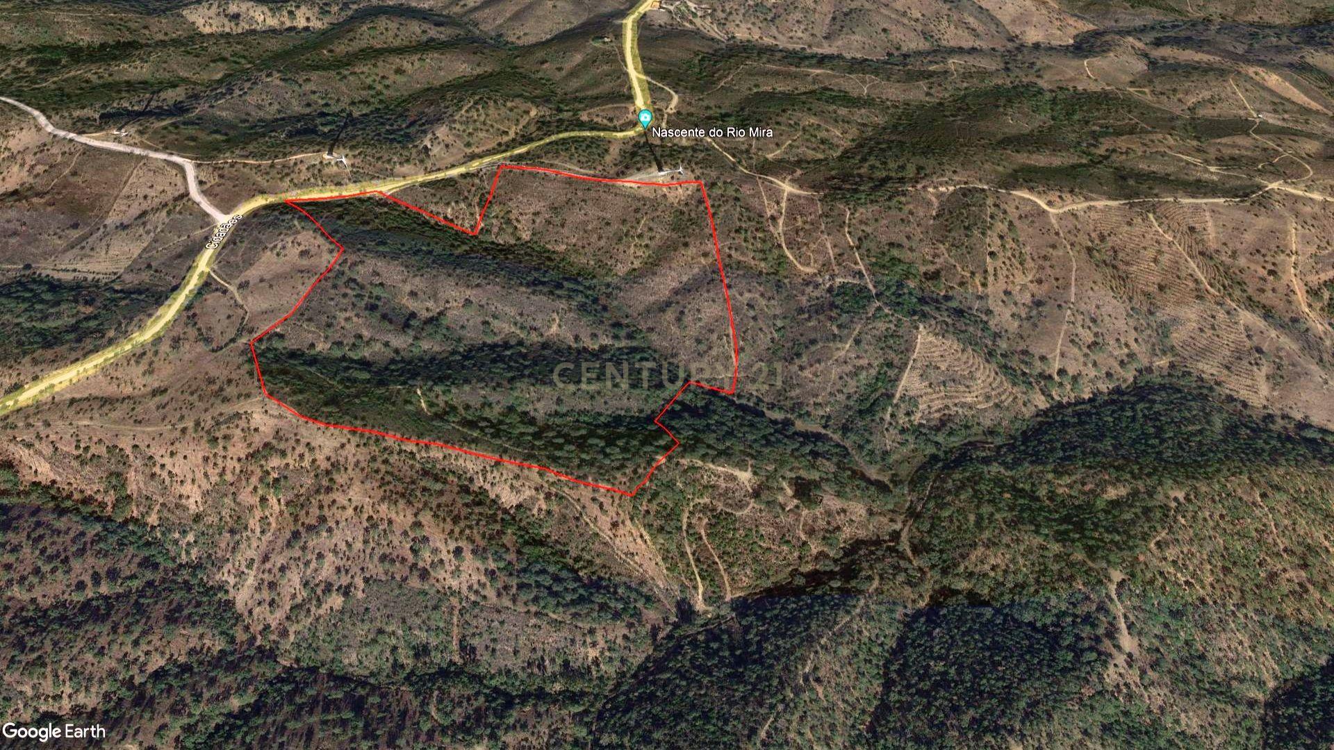Fotografia 4 de Investimento Rural: 20 Hectares com Rendimento