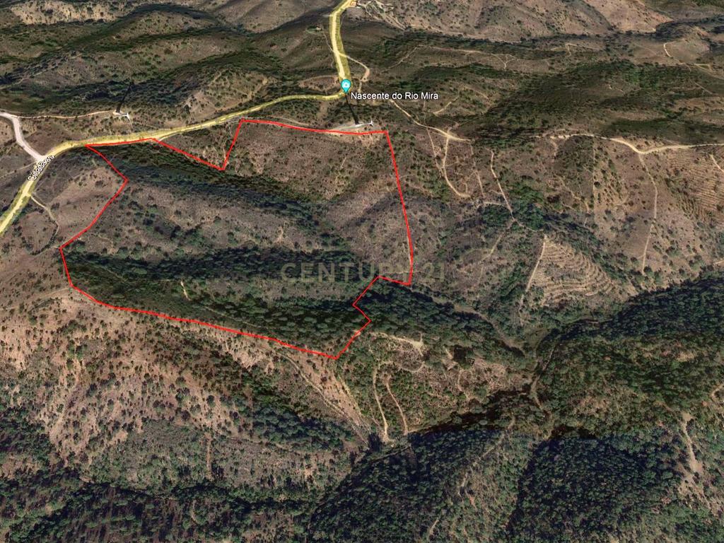 Investimento Rural: 20 Hectares com Rendimento - Image 4