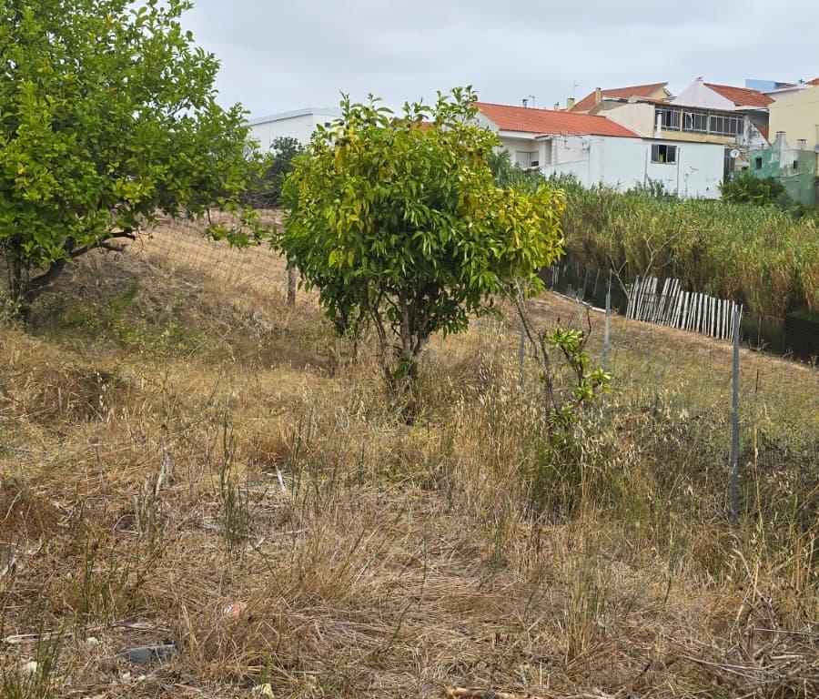 TERRENO URBANO PARA CONSTRUÇÃO - CATUJAL, CAMARATE - Image 5