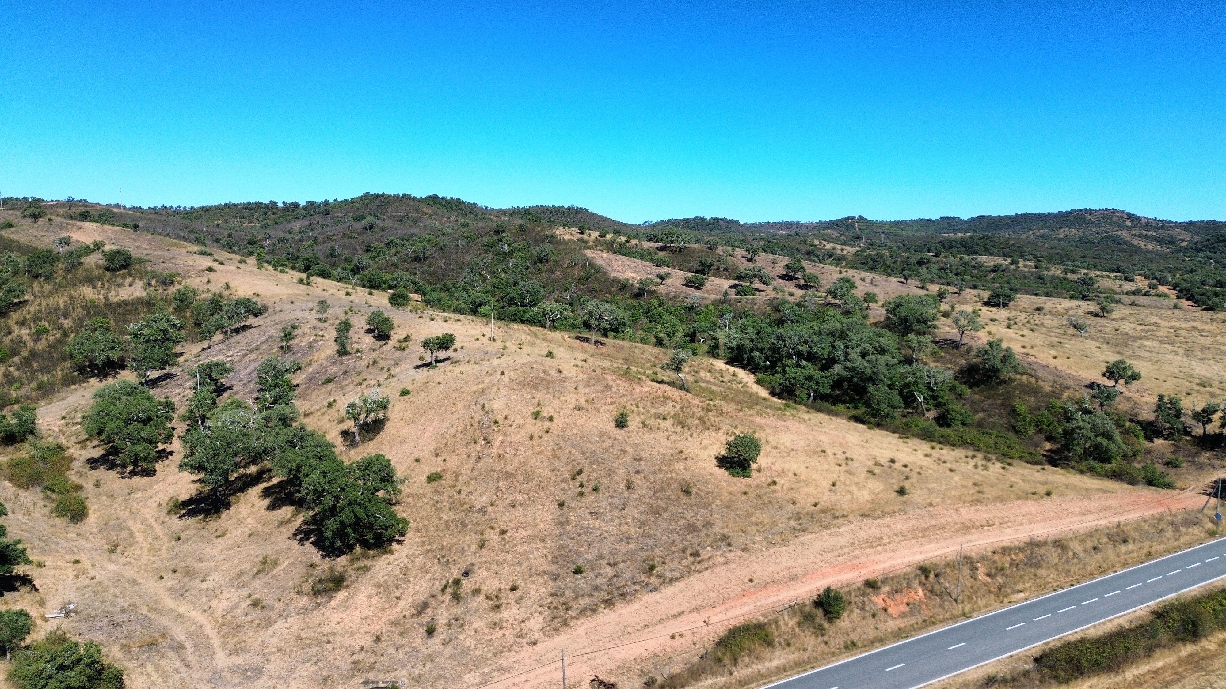 Fotografia 4 de HERDADE COM 193 HECTARES | BOAVISTA DOS PINHEIROS, ODEMIRA