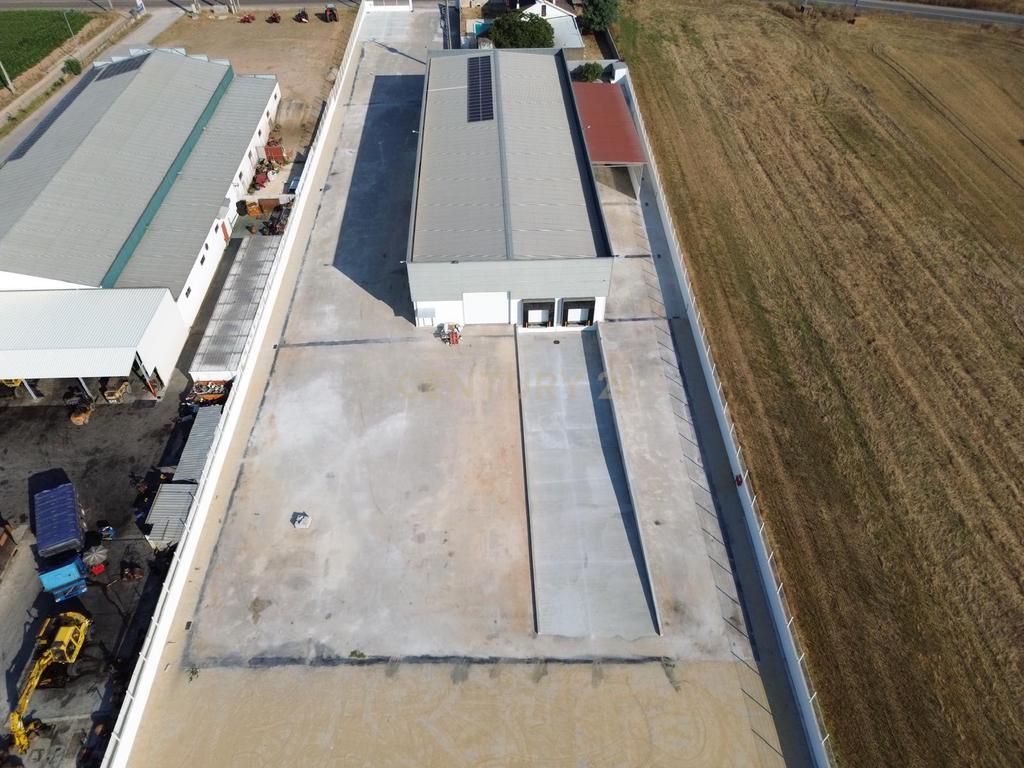Armazém Industrial para Arrendamento – Riachos, Torres Novas - Image 3