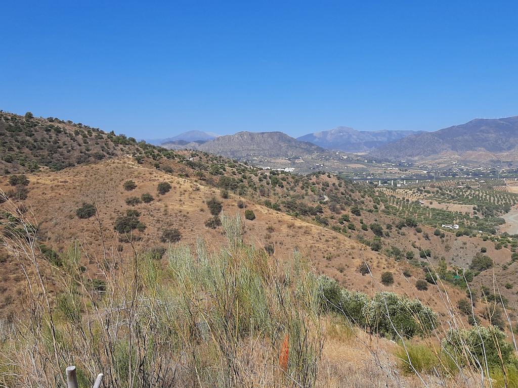 QUINTA RÚSTICA COM 11.000 m² DE TERRENO, PRIVACIDADE E VISTAS PANORÂMICAS EM ÁLORA - Image 24
