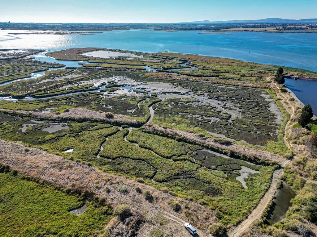 Terreno 20,18ha, Montijo - Seixalinho, para actividades de piscicultura e agricultura - Image 11
