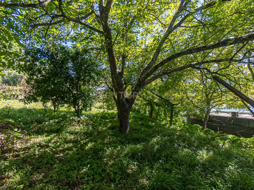 Moradia Térrea V3 na primeira linha dos Rios Douro e Tâmega com amplo jardim e garagem - Image 23