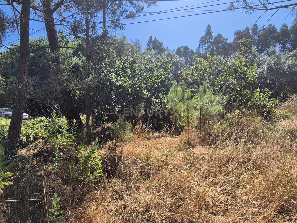 Terreno para Construção em Pombal, Leiria - Oportunidade Única! - Image 16