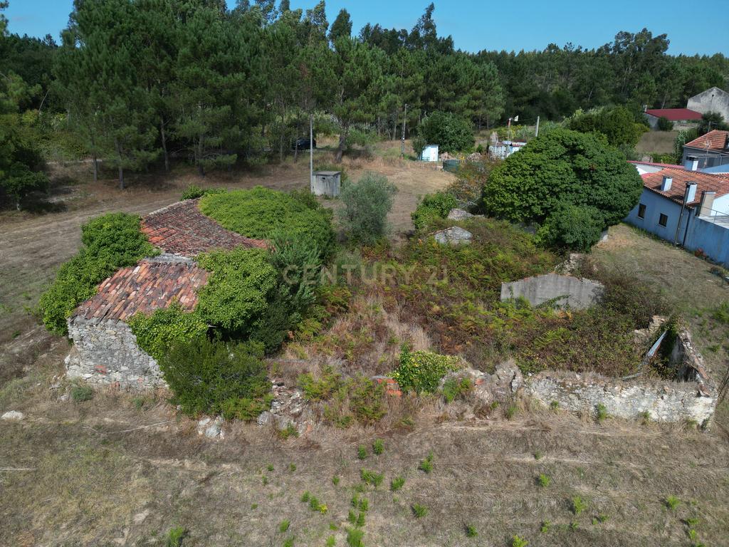 Propriedade com duas casas para reabilitar, terreno e poço na Costeira – Figueira da Foz - Image 17