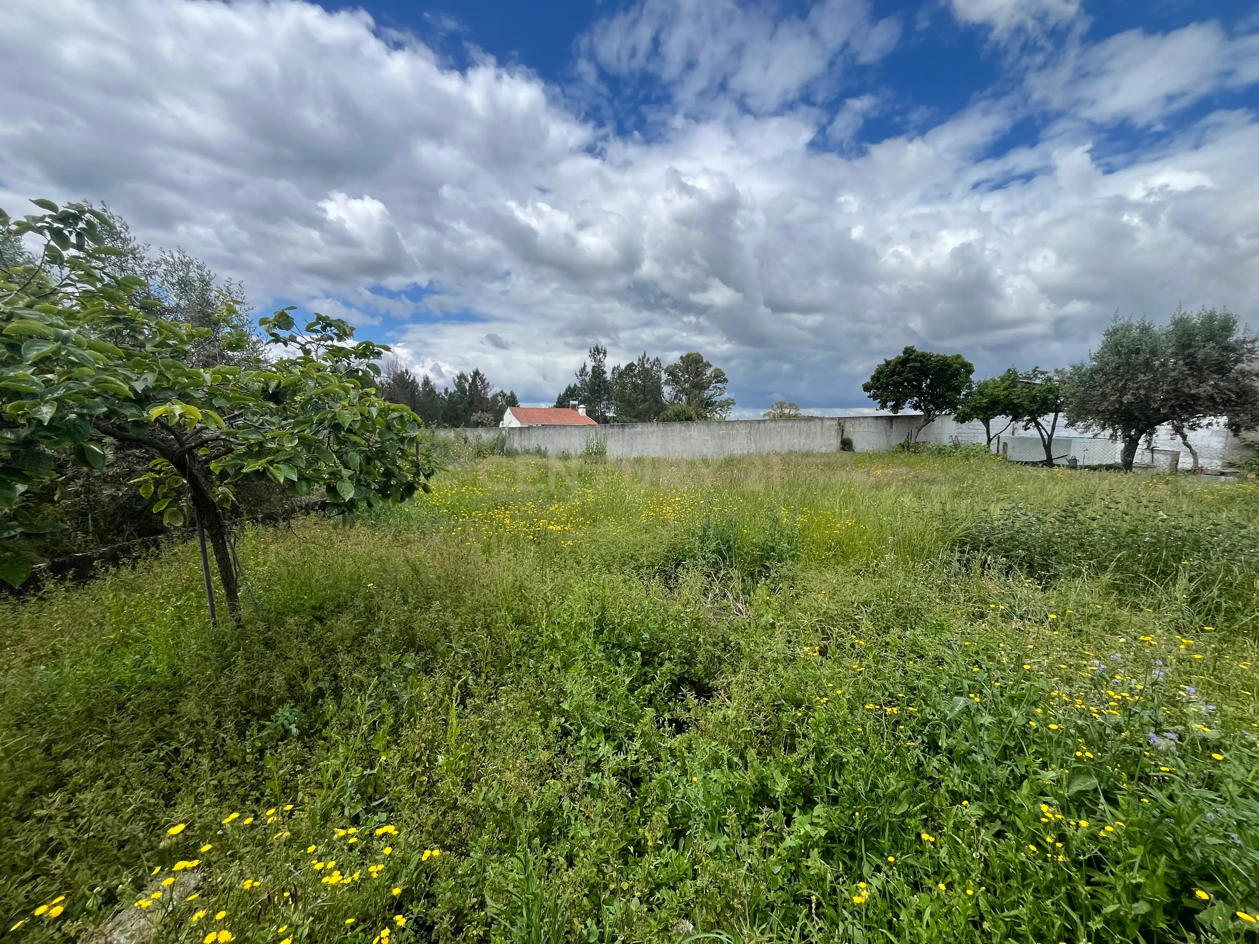 Terreno Urbano com Vista para Serra em Abrantes - Image 15