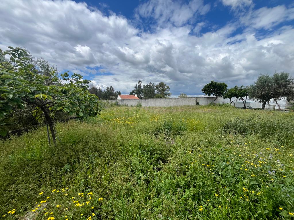 Terreno Urbano com Vista para Serra em Abrantes  - Image 15