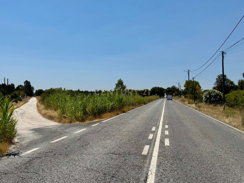 Terreno com 94.000 m2 na zona do Novo Aeroporto de Lisboa, Santo Estêvão, Benavente. Em venda! - Image 2