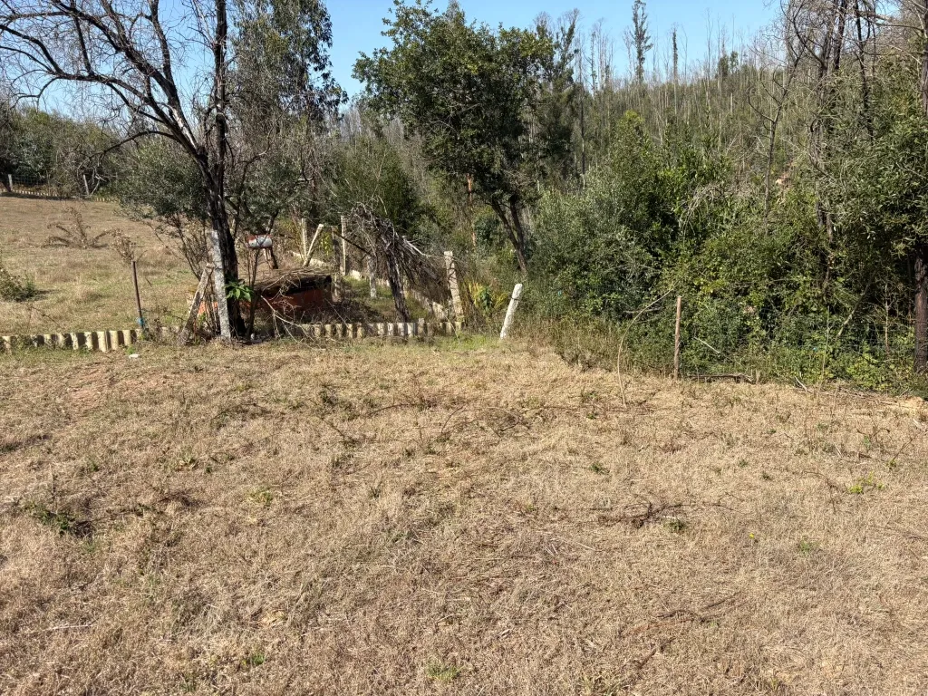 Terreno Urbano em Angeja, Albergaria a Velha - Image 13
