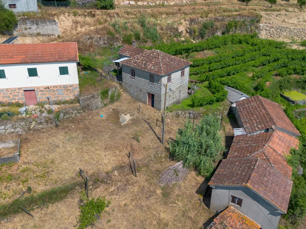 Quintinha com 2 casas em pedra para recuperar + 2 terrenos com vinhas-( 8.210m2 ) -Douro Vinhateiro! - Image 13