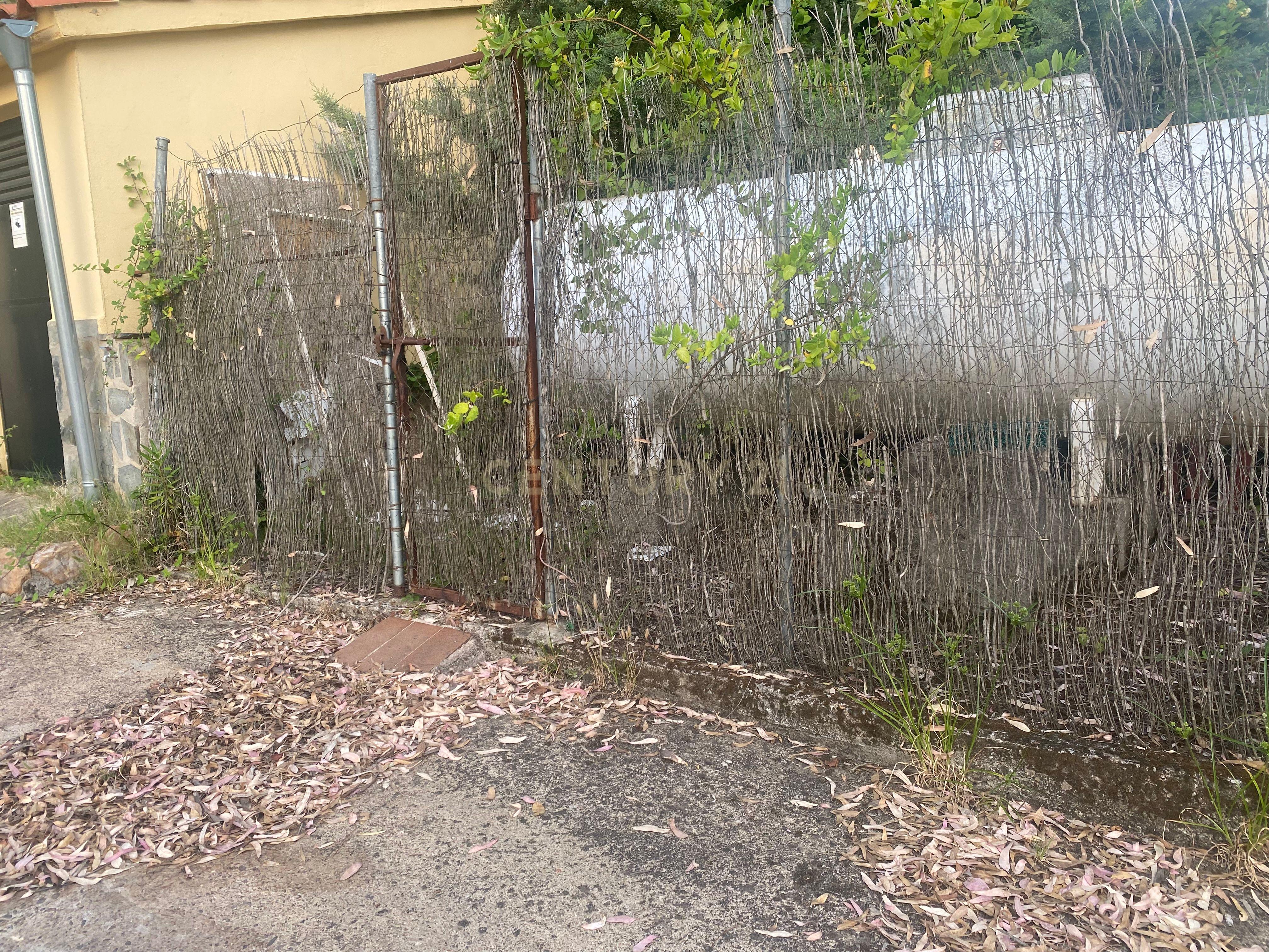 undefined - Image 74