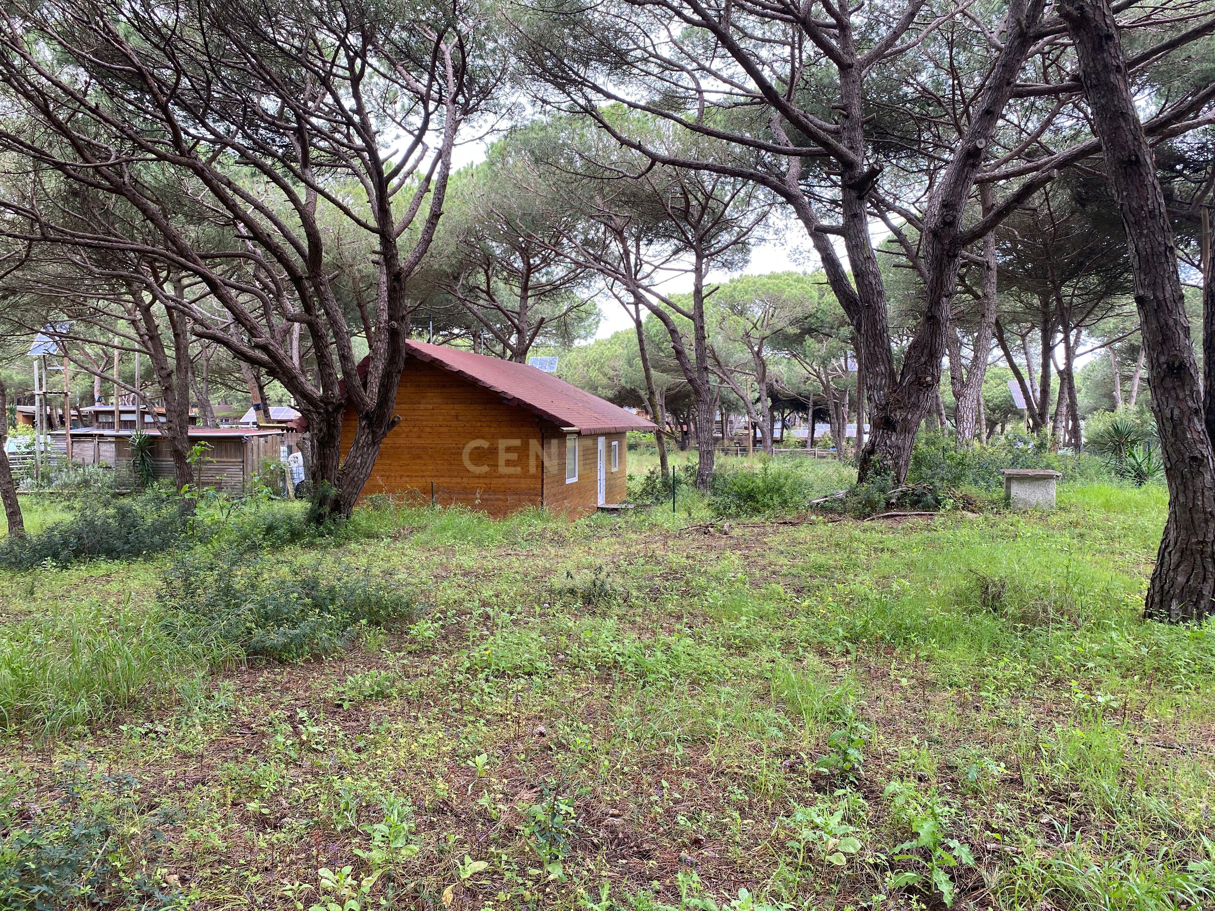 Moradia na Quinta de Zimbral - Charneca de Caparica  - Image 3
